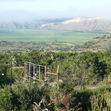 Kudu Ridge Game Lodge Addo Ngoại thất bức ảnh