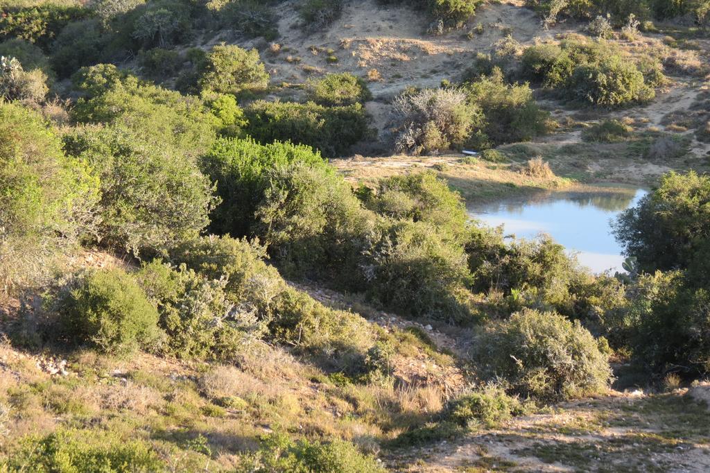 Kudu Ridge Game Lodge Addo Ngoại thất bức ảnh