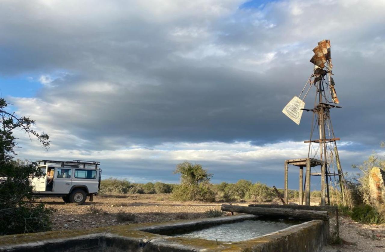 Kudu Ridge Game Lodge Addo Ngoại thất bức ảnh