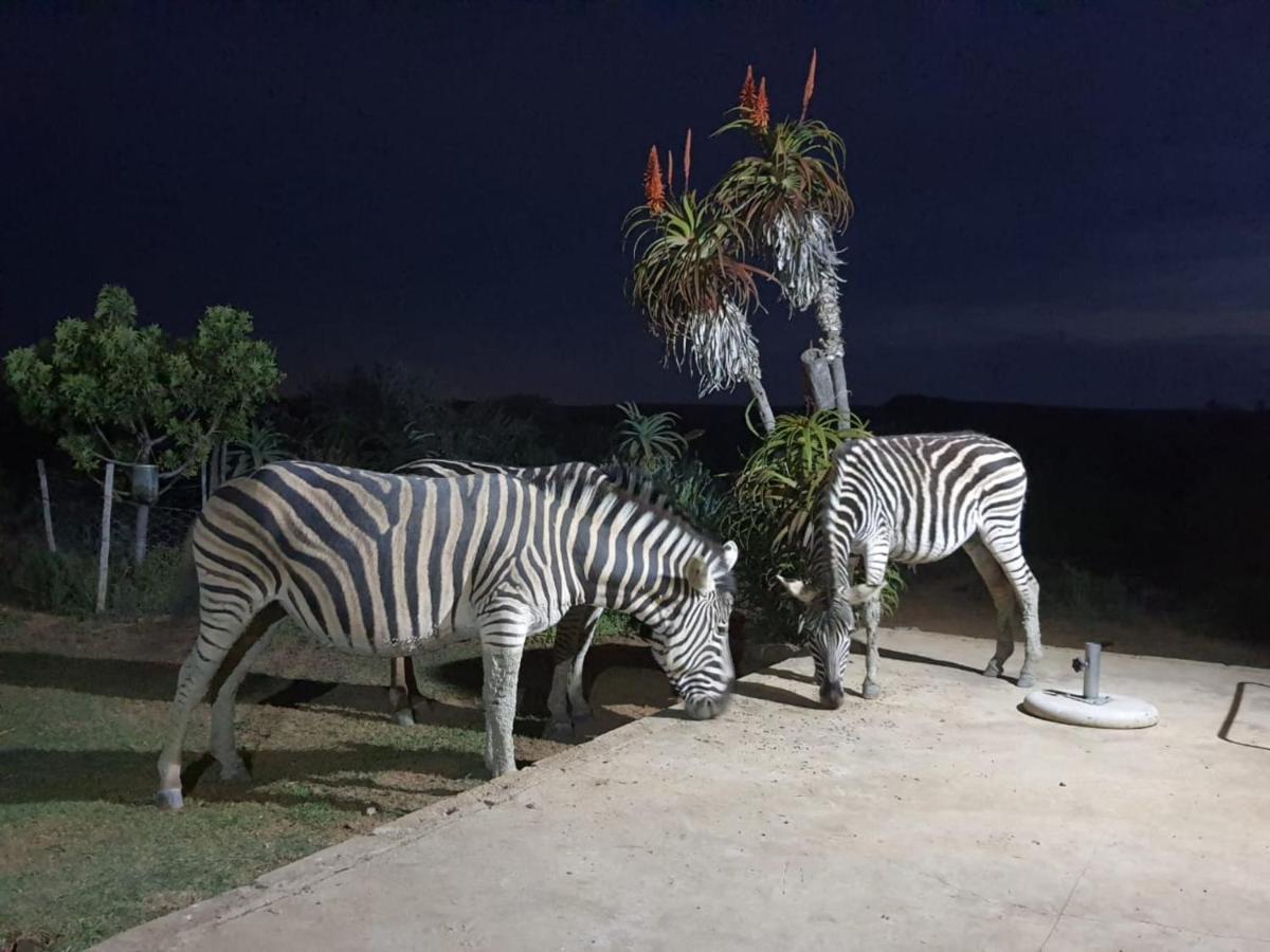 Kudu Ridge Game Lodge Addo Ngoại thất bức ảnh