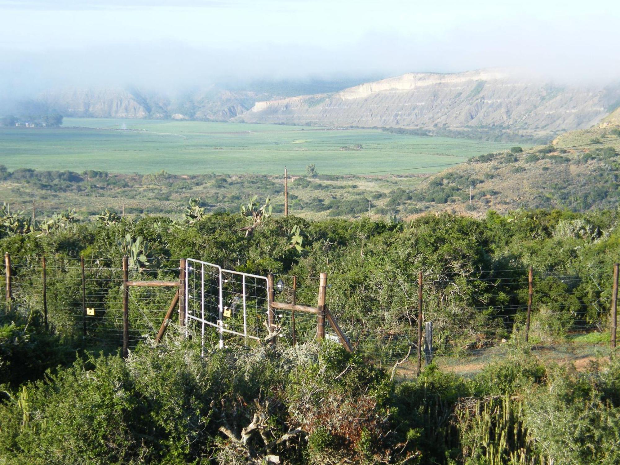 Kudu Ridge Game Lodge Addo Ngoại thất bức ảnh