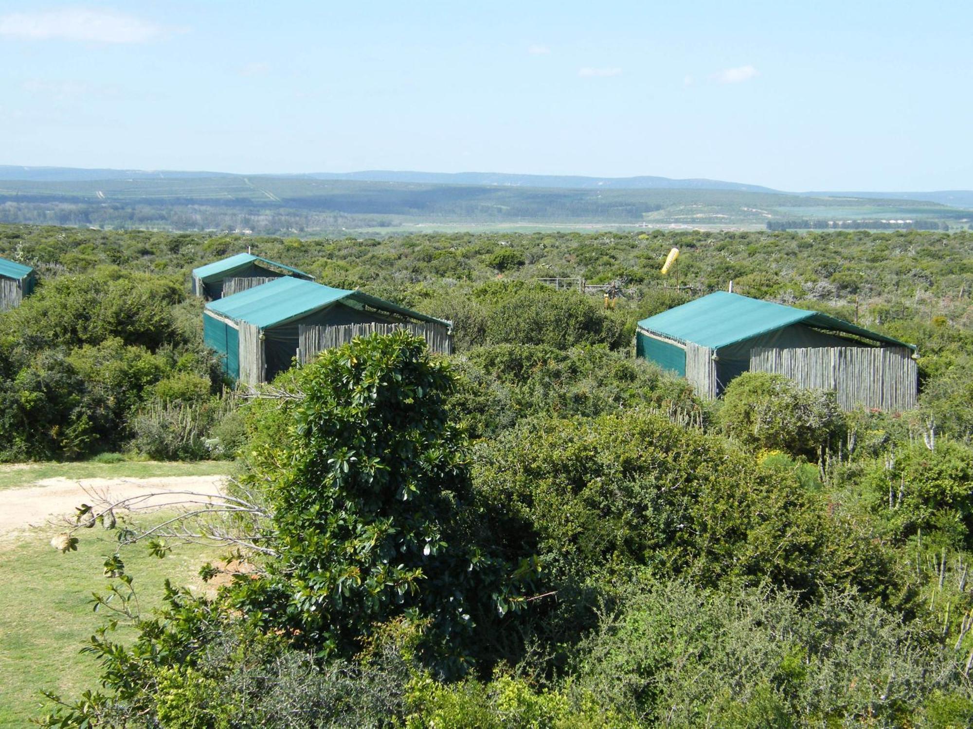 Kudu Ridge Game Lodge Addo Phòng bức ảnh